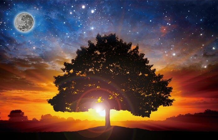 大きな大木が宇宙にエネルギーを発するような神秘的な光景