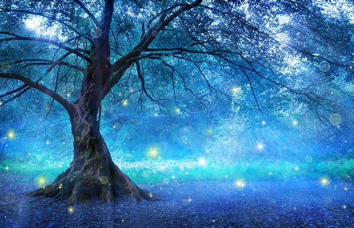 大木からキラキラ落ちる光神秘的なエネルギーの様子